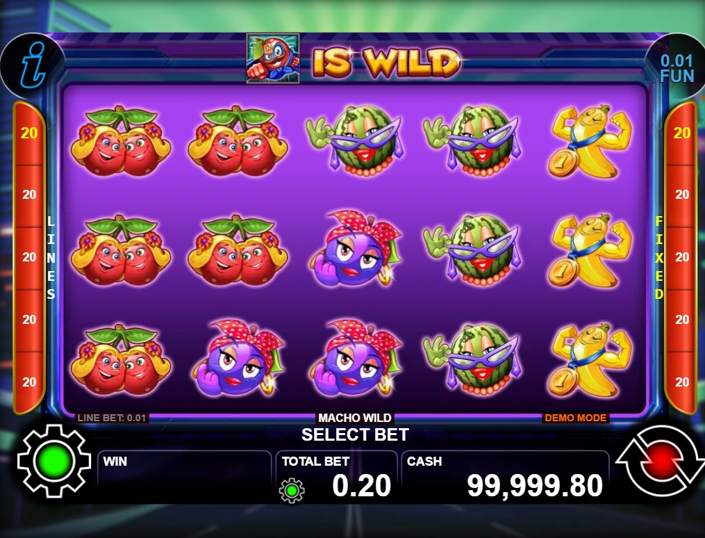 Macho Wild by CT Interactive slot gameplay