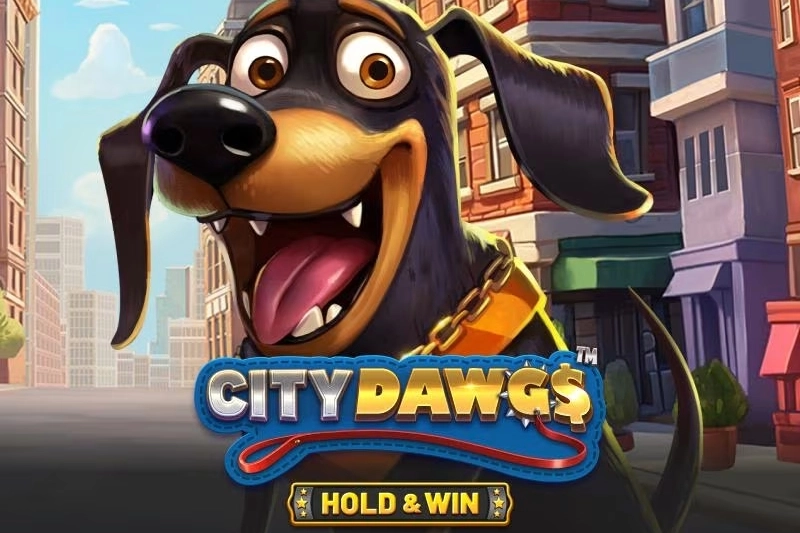 City Dawgs – Hold & Win