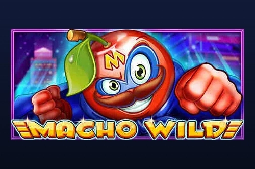 Macho Wild by CT Interactive slot